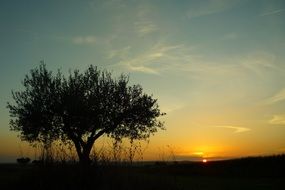 campomayor alentejo portugal