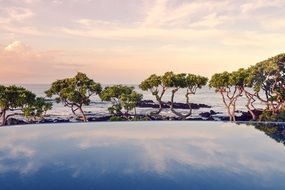 Green trees panorama swimming pool ocean