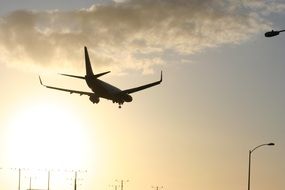 Picture of landing plane in Los Angeles