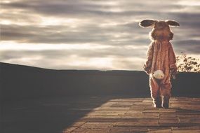 rabbit hare bunny costume animal