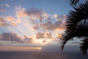 delightful pink clouds