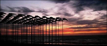 flagpoles on the North Sea at sunset