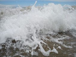 wave, spray and foam on the sea beach