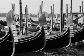 monochrome picture of unusual beauty venice gondolas on a water