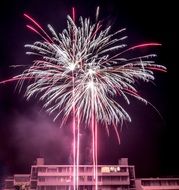 bright fireworks in honor of the New Year