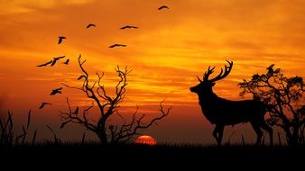 landscape of birds, deer and trees at sunset