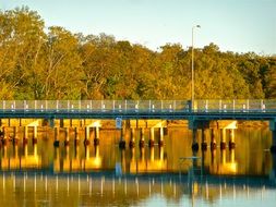 gold bridge