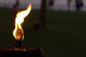 flame fire