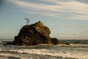 beauty scene ocean coast paradise