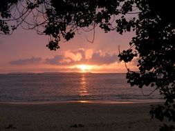 ocean beach on pink sunset background