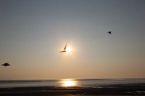 delightful beach sunset