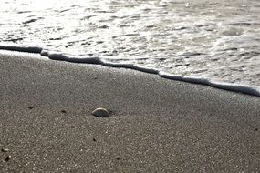 sand stone on the seashore beach