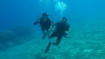 underwater diving in the ocean