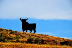 spain osborne bull sea view