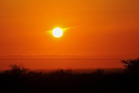 romantic orange sky at sunset