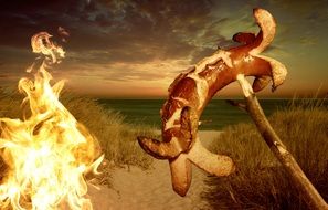 sausage on a stick near a fire