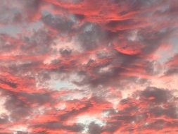 pink clouds in the evening sky close up