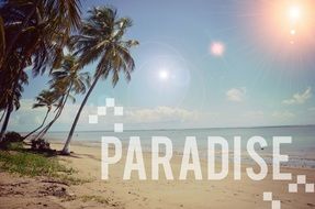 paradice summer on the beach