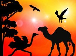 camel ostrich birds and palm silhouettes drawing