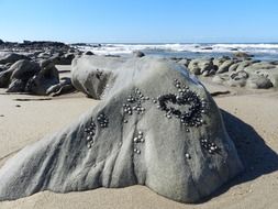 gray stone with a nasal heart on the beach