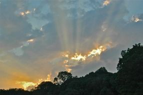 bright sun through the twilight in the evening