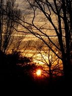 sunset behind dark trees silhouettes