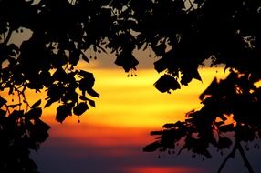 sky, evening sunset