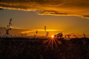 bright summer sun at sunset