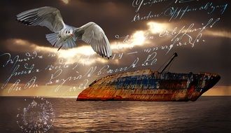 greeting card with ship and seagull