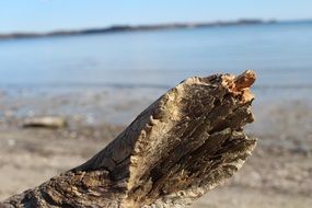 wonderful beach baltic sea