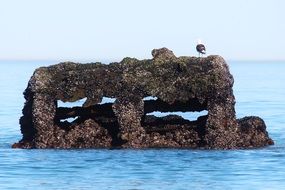 rusty scrap metal in water after crash