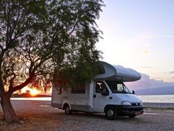 white car for camping stands near a tree