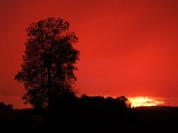 irresistible red sunset