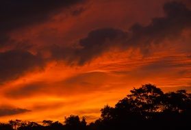 Sky with red sunset