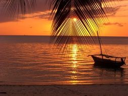 water evening boot zanzibar