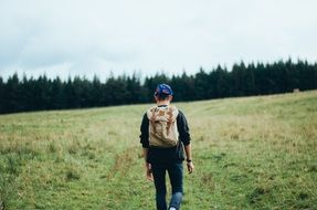 hiker trekking adventure