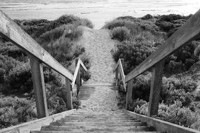 wooden staircase on the coast in black and white background
