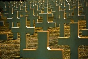 panorama of the cemetery in normandy