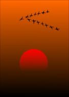 migratory birds at sunset