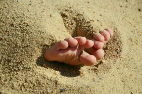 feet in the sand