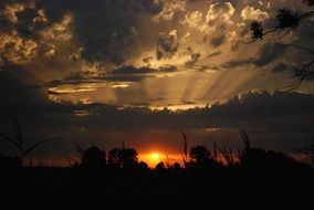 charming beauty red sunset