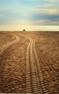 tire tracks on sand beach at sunset