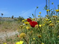 mediterranean holiday