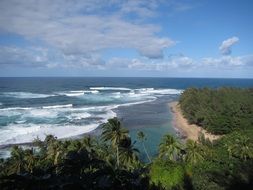 ocean shore near rainforest