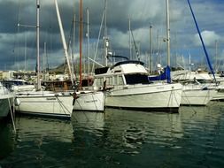 white yachts in a port in Mallorca
