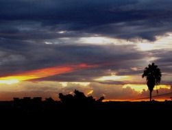 gorgeous dark clouds