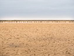 wadden north sea