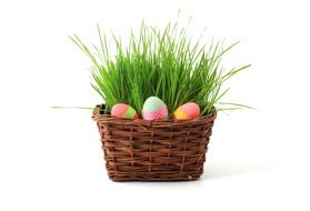 basket decorated with colorful eggs and green grass