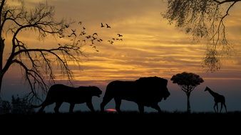 silhouettes of african animals