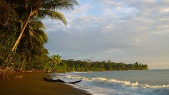 sea beach in the jungle